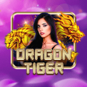 Dragon Tiger on 789bingo app apk